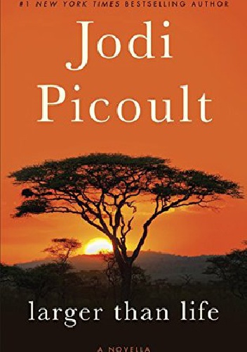 Jodi Picoult - Larger Than Life