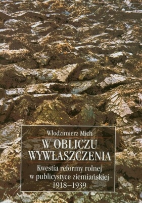 Okładka: Włodzimierz Mich - W obliczu wywłaszczenia