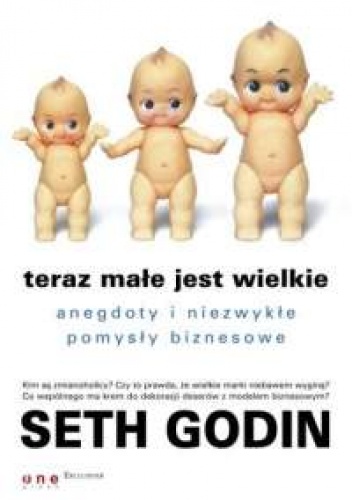Okładka: Seth Godin - Seth Godin. Teraz małe jest wielkie. Anegdoty i niezwykłe pomysły biznesowe.
