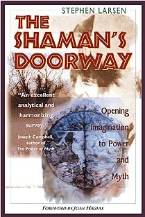 Okładka: Stephen Larsen - The Shaman's Doorway: Opening Imagination to Power and Myth