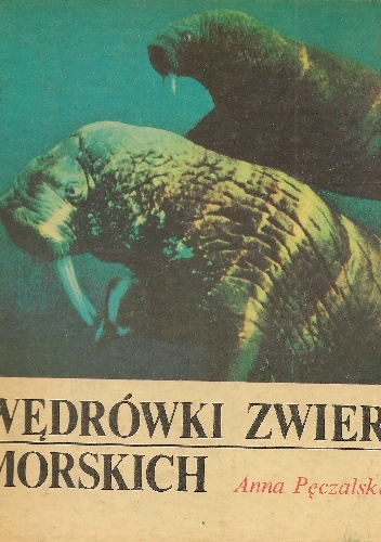 Okładka: Anna Pęczalska - Wędrówki zwierząt morskich