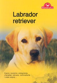 Okładka:  Zespół Over Dieren - Labrador retriever