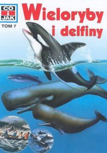 Okładka: Petra Deimer - Wieloryby i delfiny