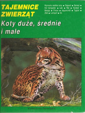 Okładka: Tomasz Kokurewicz - Koty duże, średnie i małe