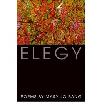 Okładka: Mary Jo Bang - Elegy