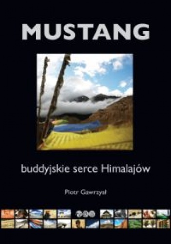Okładka: Piotr Gawrzyał - Mustang buddyjskie serce Himalajów