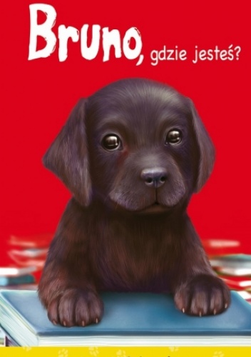 Okładka: Agnieszka Stelmaszyk - Bruno, gdzie jesteś?