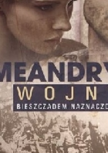 Okładka: Krzysztof Jan Drozdowski - Meandry wojny Bieszczadem naznaczone