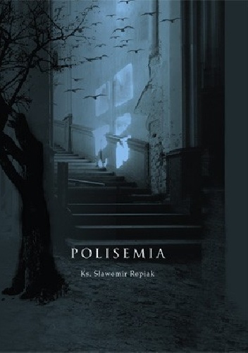 Okładka: Sławomir Ropiak - Polisemia