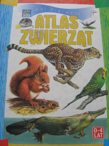 Okładka: Przemysław Rachowiak - Mój pierwszy atlas zwierząt