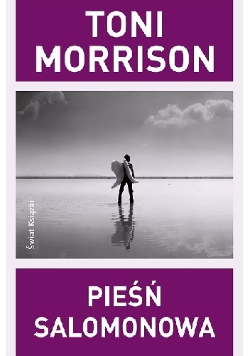 Okładka: Toni Morrison - Pieśń Salomonowa