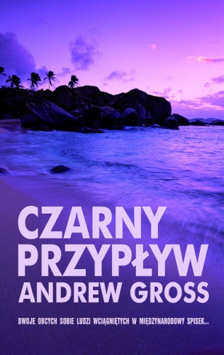 Okładka: Andrew Gross - Czarny przypływ