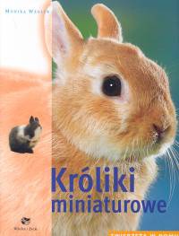 Okładka: Monika Wegler - Króliki miniaturowe. Zwierzęta w domu