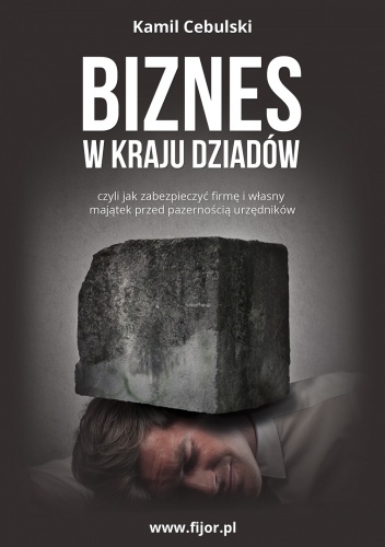 Okładka: Kamil Cebulski - Biznes w kraju dziadów, czyli jak zabezpieczyć firmę i własny majątek przed pazernością urzędników