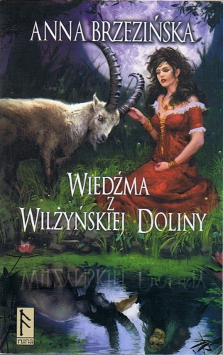 Okładka: Anna Brzezińska - Wiedźma z Wilżyńskiej Doliny