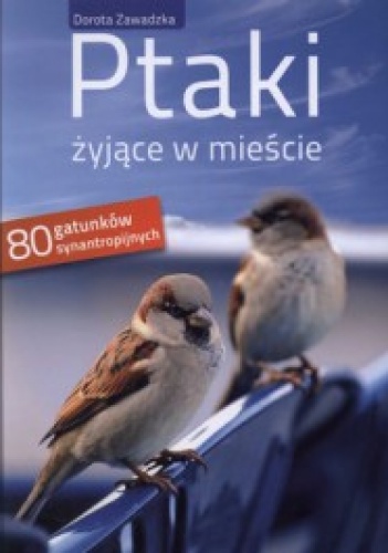 Okładka: Dorota Zawadzka - Ptaki żyjące w mieście