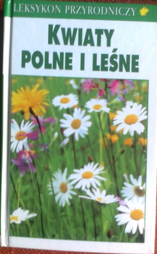 Okładka: Bertram Munker - Kwiaty polne i leśne