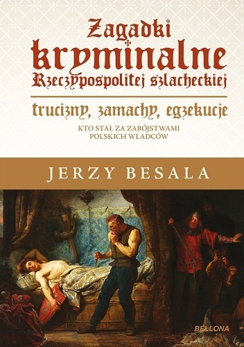 Okładka: Jerzy Besala - Zagadki kryminalne Rzeczypospolitej szlacheckiej