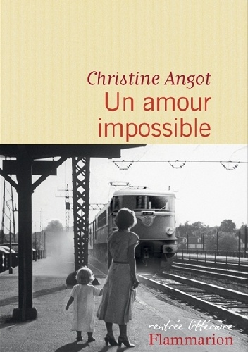 Okładka: Christine Angot - Un amour impossible