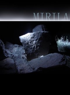 Okładka: Andrej Pleterski - Mirila. Kulturni fenomen