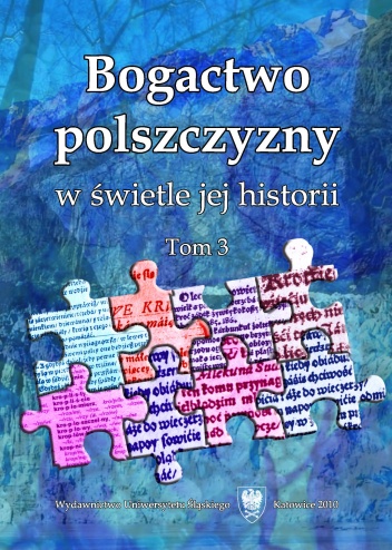 Okładka: Artur Rejter - Bogactwo polszczyzny w świetle jej historii. Tom 3