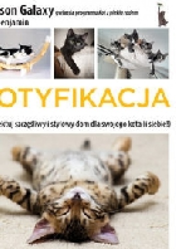 Okładka: Jackson Galaxy - Kotyfikacja. Zaprojektuj szczęśliwy i stylowy dom dla swojego kota (i siebie!)