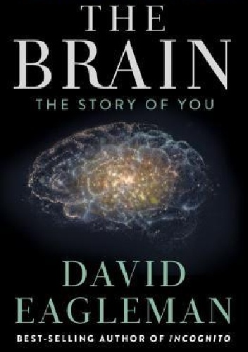 Okładka: David Eagleman - The Brain: The Story of You