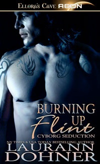 Okładka: Laurann Dohner - Burning up Flint