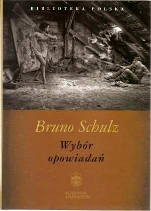 Okładka: Bruno Schulz - Wybór opowiadań