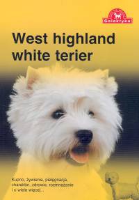 Okładka:  Zespół Over Dieren - West highland white terier