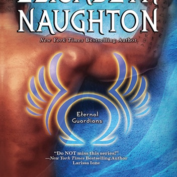 Okładka: Elisabeth Naughton - Entwined