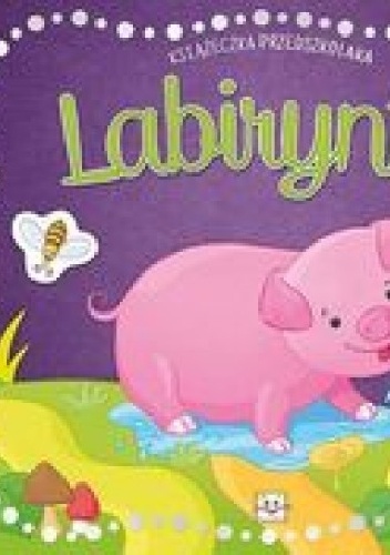 Okładka: Anna Podgórska - Labirynty. Książeczka przedszkolaka