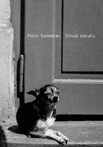 Okładka: Piotr Sommer - Smak detalu i inne ogólniki