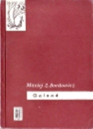 Okładka: Maciej Zenon Bordowicz - Galaad