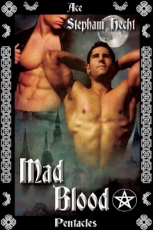 Okładka: Stephani Hecht - Mad Blood