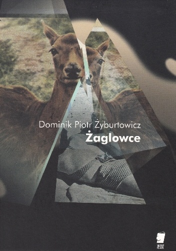 Okładka: Dominik Piotr Żyburtowicz - Żaglowce