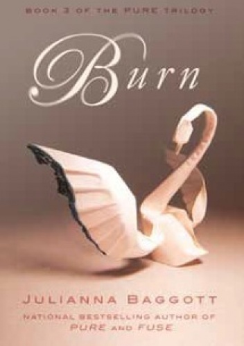 Okładka: Julianna Baggott - Burn