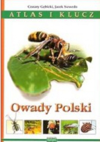 Okładka: Cezary Gębicki - Owady Polski