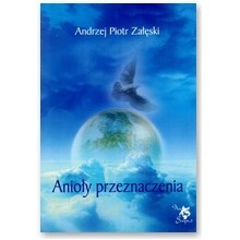 Okładka: Andrzej Piotr Załęski - Anioly przeznaczenia