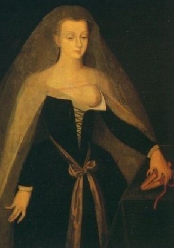 Okładka: Noreen Nash - Agnes Sorel Mistress of Beauty