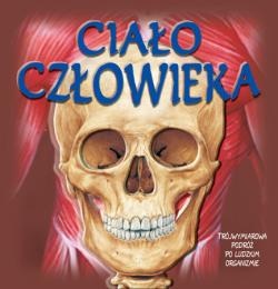 Okładka: Sue Harris - Ciało człowieka. Trójwymiarowa podróż po ludzkim organiźmie