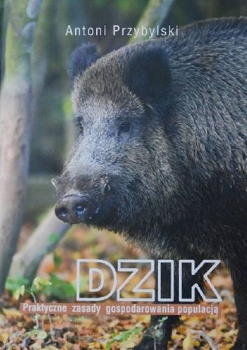 Okładka: Antoni Przybylski - Dzik. Praktyczne zasady gospodarowania populacją
