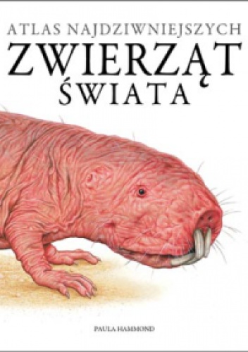 Okładka: Paula Hammond - Atlas najdziwniejszych zwierząt świata