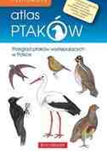 Okładka: Emilia Grzędzicka - Ilustrowany atlas ptaków