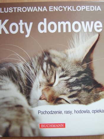 Okładka: Catherine Davidson - Koty domowe