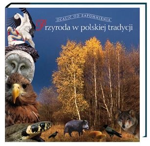 Okładka: Stefan Kłosiewicz - Przyroda w polskiej tradycji