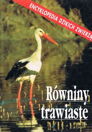 Okładka: Catherine Nicolle - Równiny trawiaste