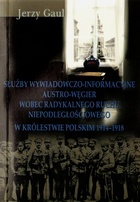 Okładka: Jerzy Gaul - Służby wywiadowczo-informacyjne Austro-Węgier wobec radykalnego ruchu niepodległościowego w Królestwie Polskim 1914-1918