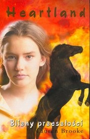 Okładka: Lauren Brooke - Blizny przeszłości
