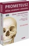 Okładka: Michael Schünke - Głowa i neuroanatomia PROMETEUSZ Atlas Anatomii Człowieka